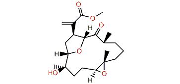 Pintoxolane B